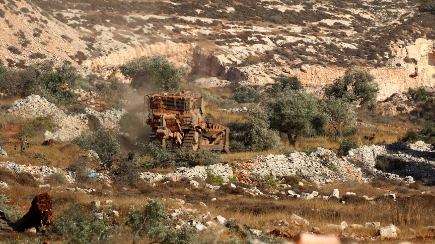 Filistin topraklarını gasbeden İsrailliler, Batı Şeria'da Filistinlilerin 120 zeytin ağacına daha zarar verdi
