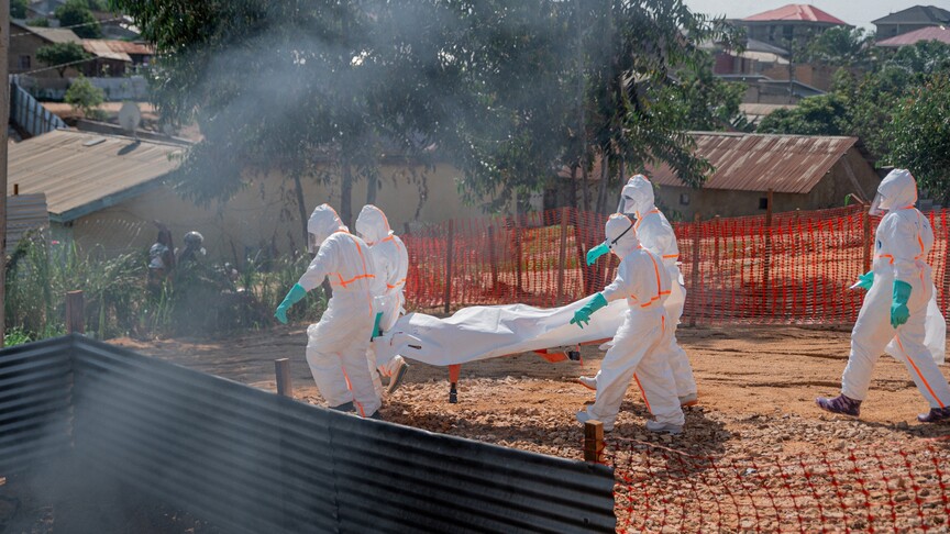 Ebola spreads to 8th province in DR Congo
