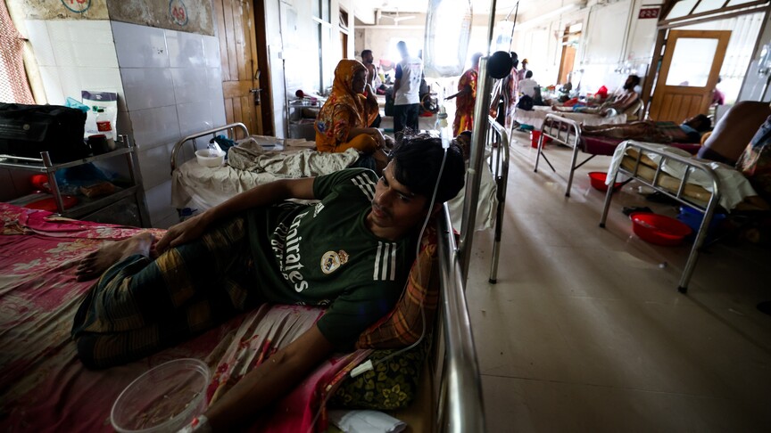 Bangladeş'te yıl başından bu yana dang humması nedeniyle ölenlerin sayısı 364'e çıktı