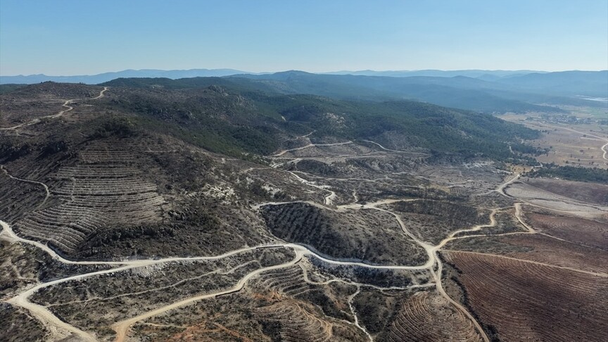 Eber Gölü'ndeki sazlık ve Sarıcaova'daki yanan ormanlarda yaban hayatı izleniyor