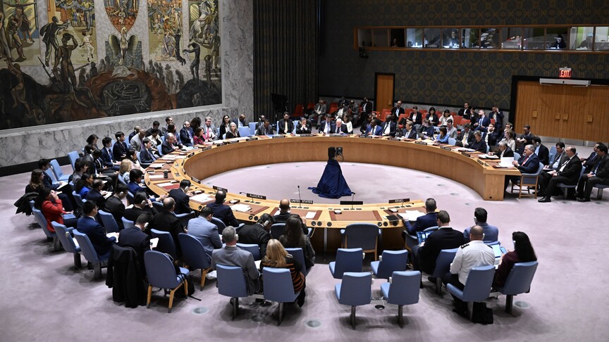 BM Güvenlik Konseyi, Guterres'in yerine önerilecek aday için 7. kez ön oylama yaptı