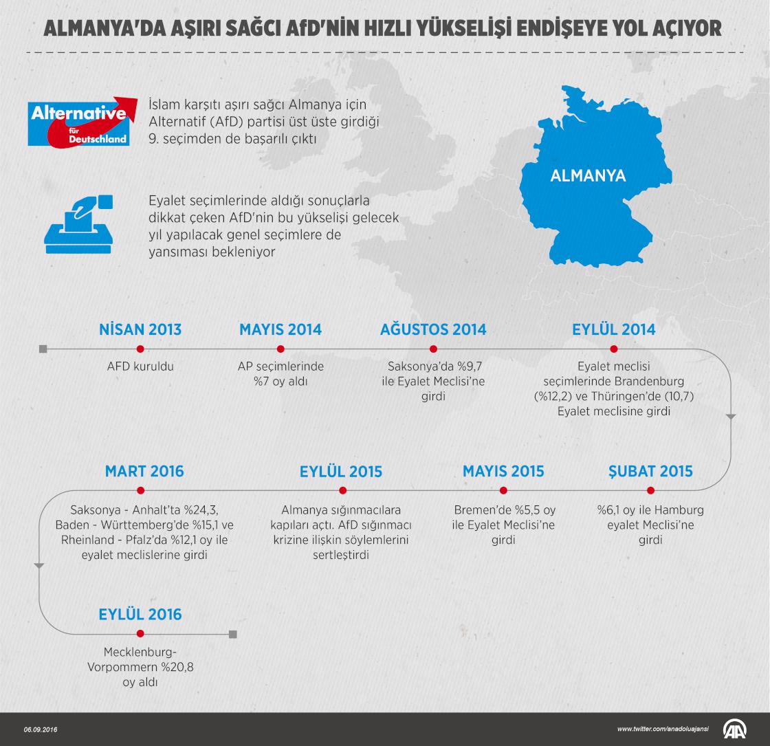 Almanya'da aşırı sağcı AfD'nin hızlı yükselişi endişeye yol açıyor
