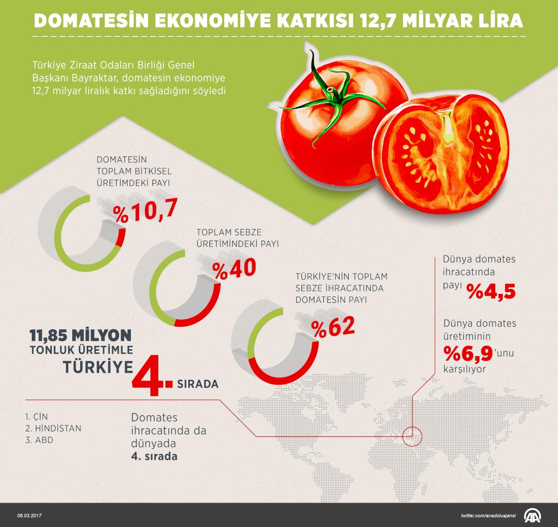 Domatesin ekonomiye katkısı 12,7 milyar lira