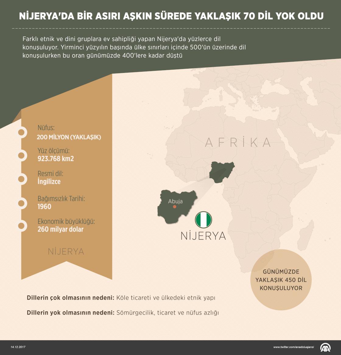 Nijerya'da bir asırı aşkın sürede yaklaşık 70 dil yok oldu