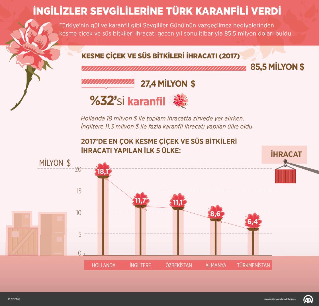 İngilizler sevgililerine Türk karanfili verdi