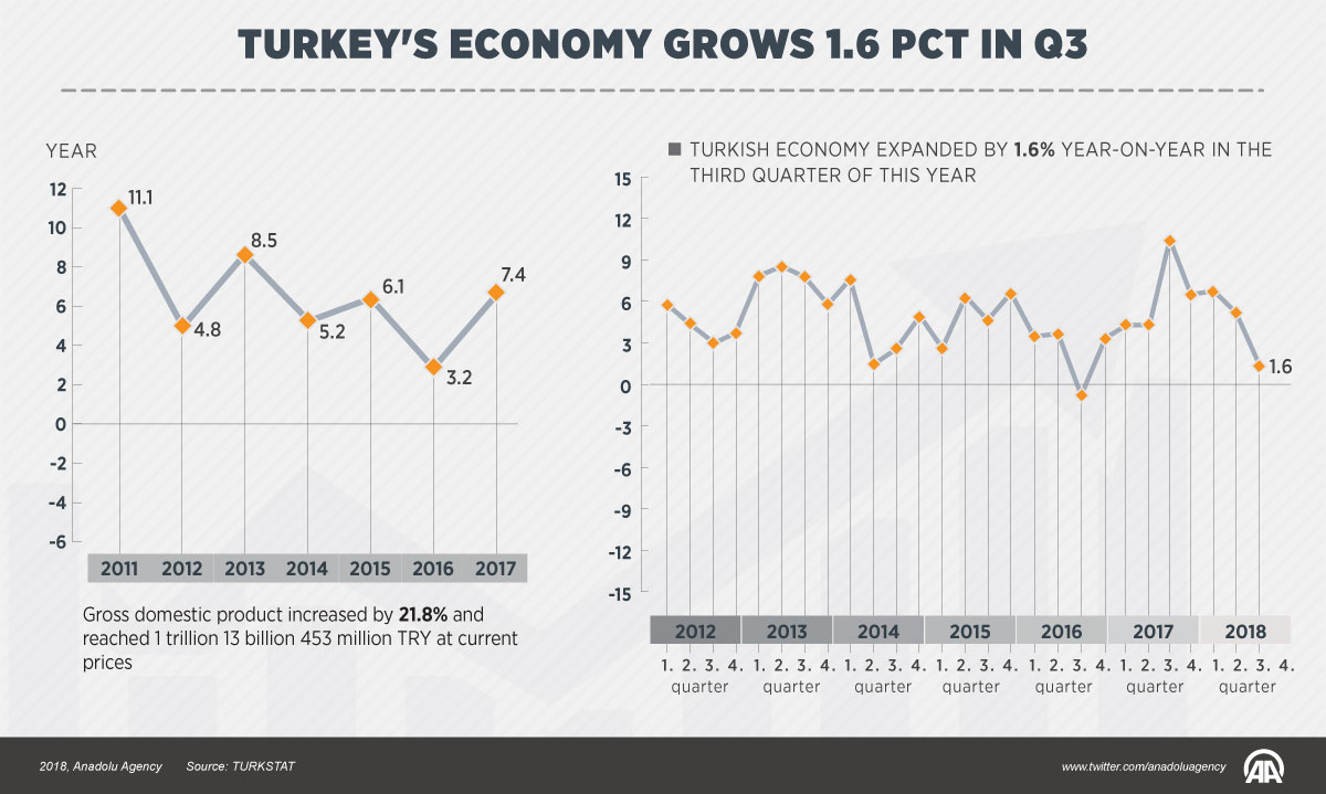 Turkey's economy grows 1.6 pct in Q3