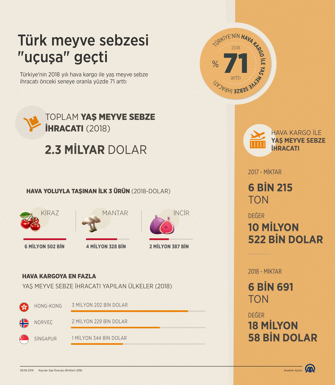Türk meyve sebzesi "uçuşa" geçti