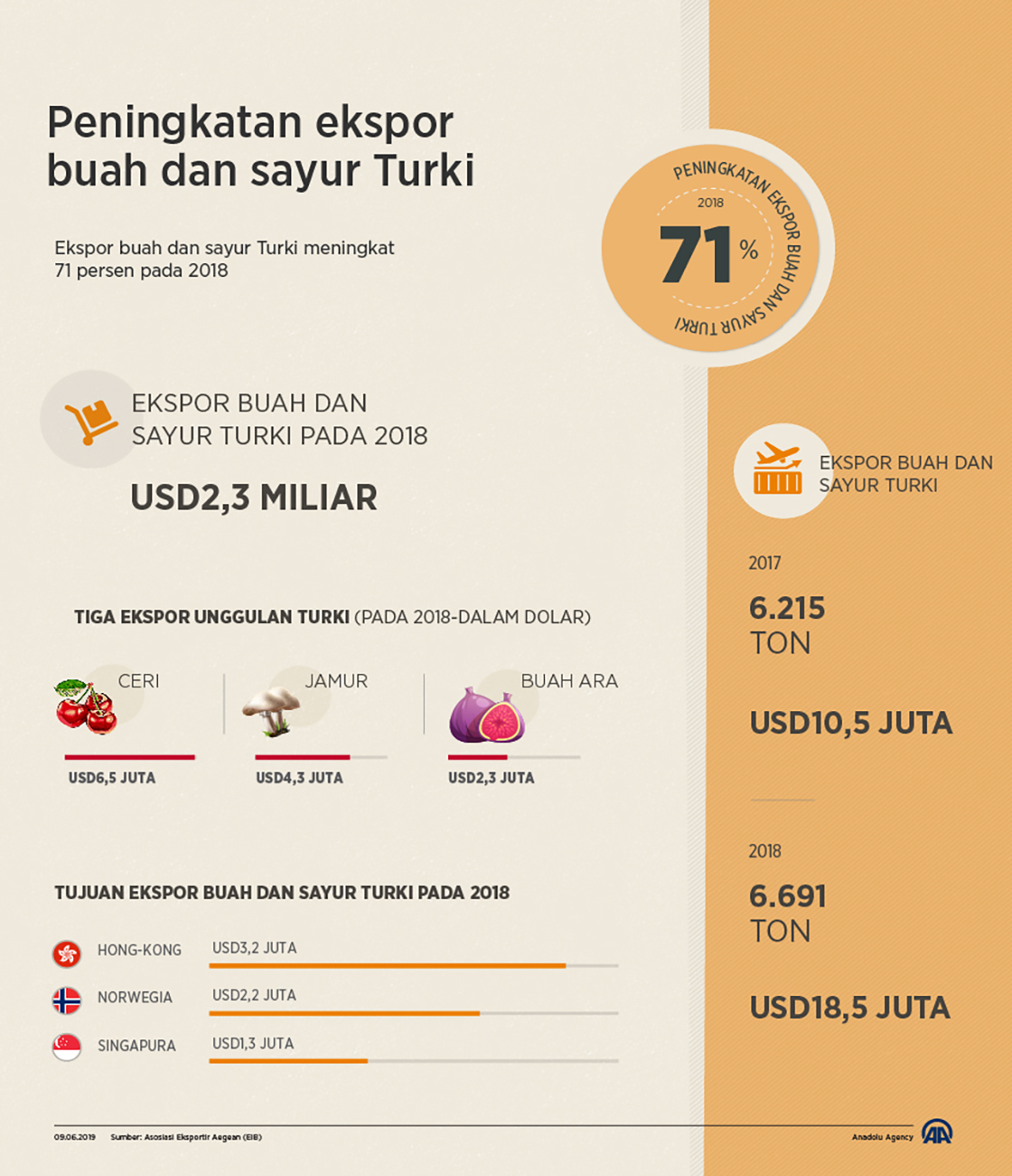 Peningkatan ekspor buah dan sayur Turki
