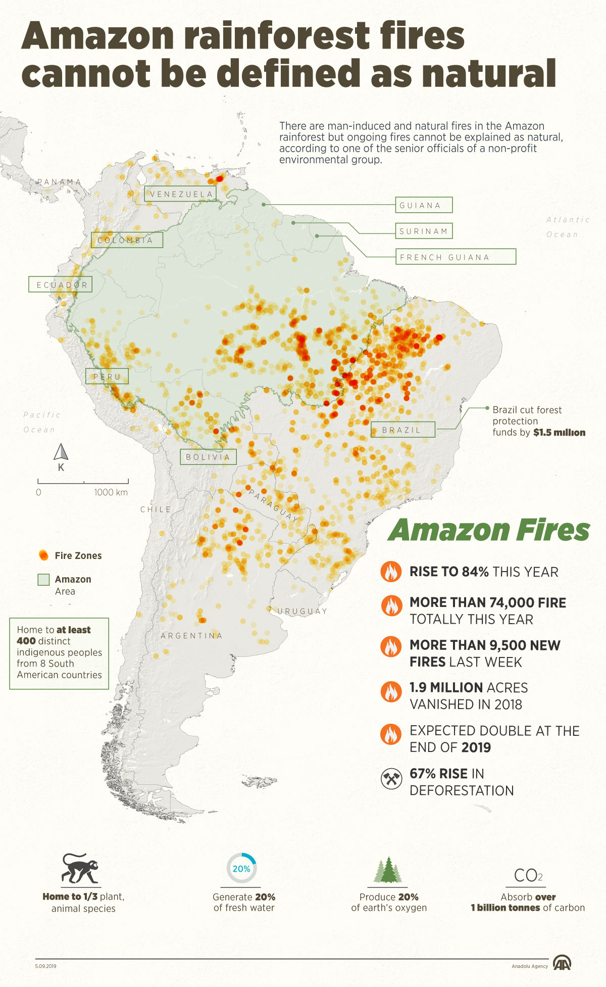Amazon rainforest fires cannot be defined as natural