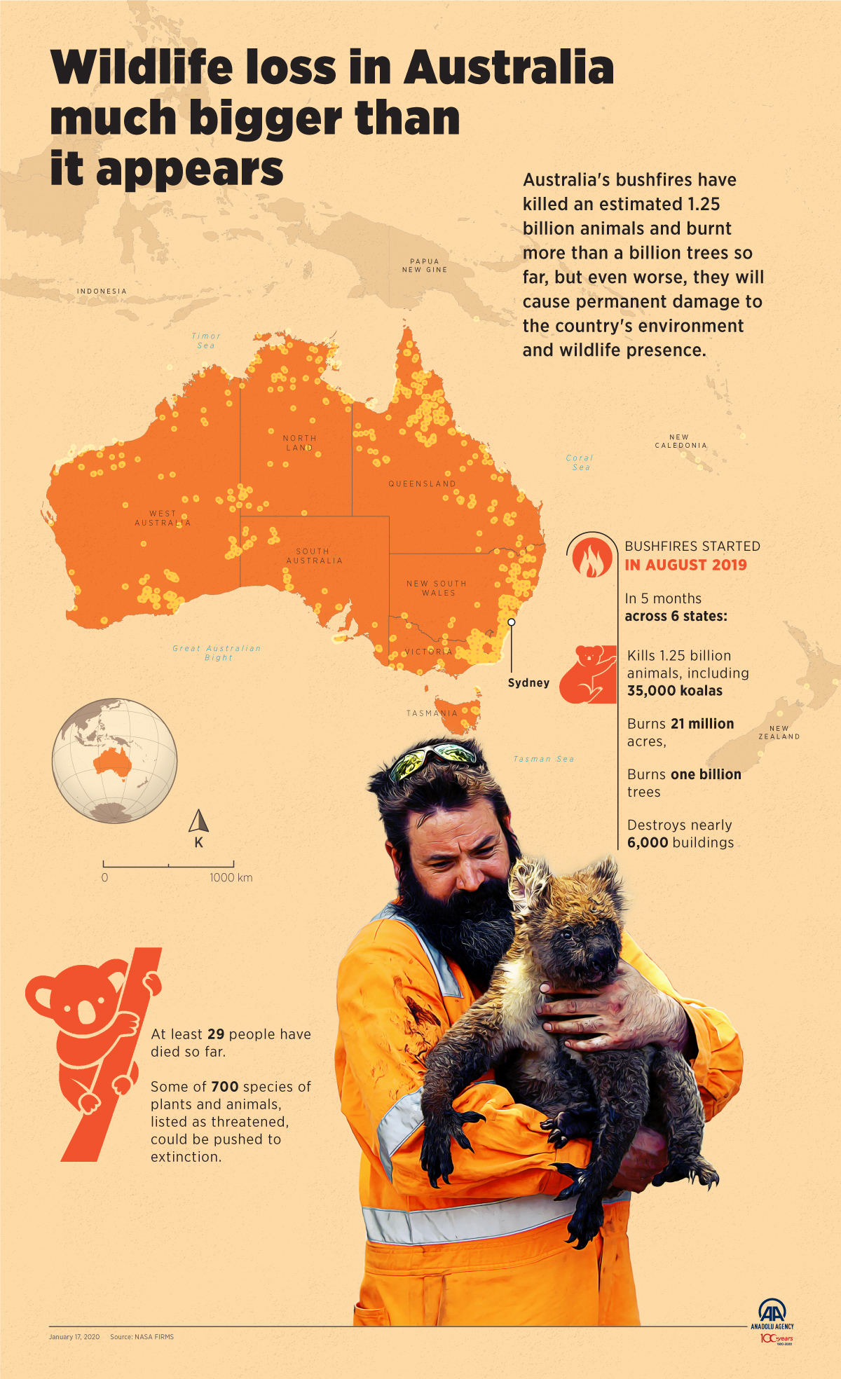 Wildlife loss in Australia much bigger than it appears