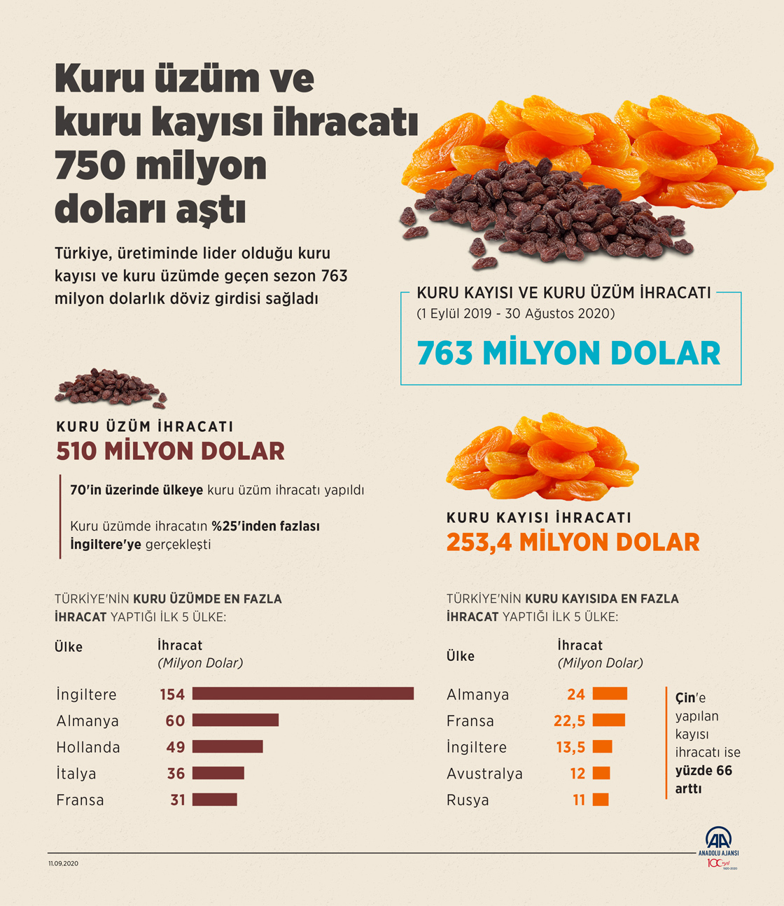 Kuru üzüm ve kuru kayısı ihracatı 750 milyon doları aştı