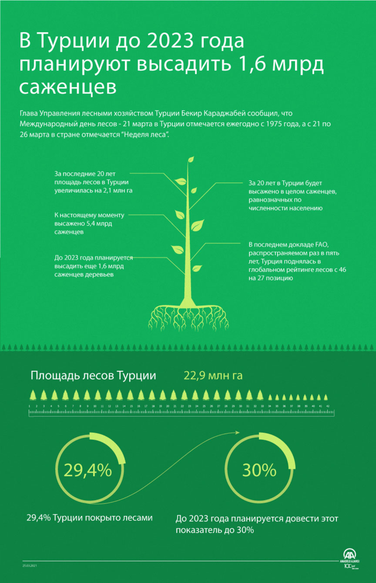 В Турции до 2023 года планируют высадить 1,6 млрд саженцев