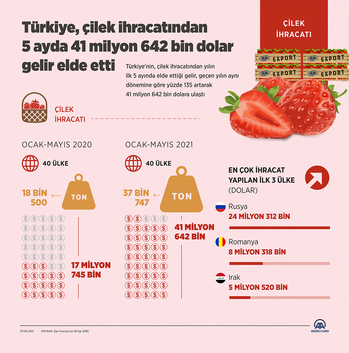 Türkiye, çilek ihracatından 5 ayda 41 milyon 642 bin dolar gelir elde etti