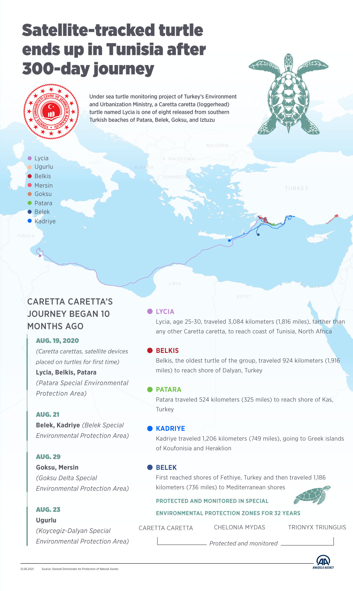 Satellite-tracked turtle ends up in Tunisia after 300-day journey