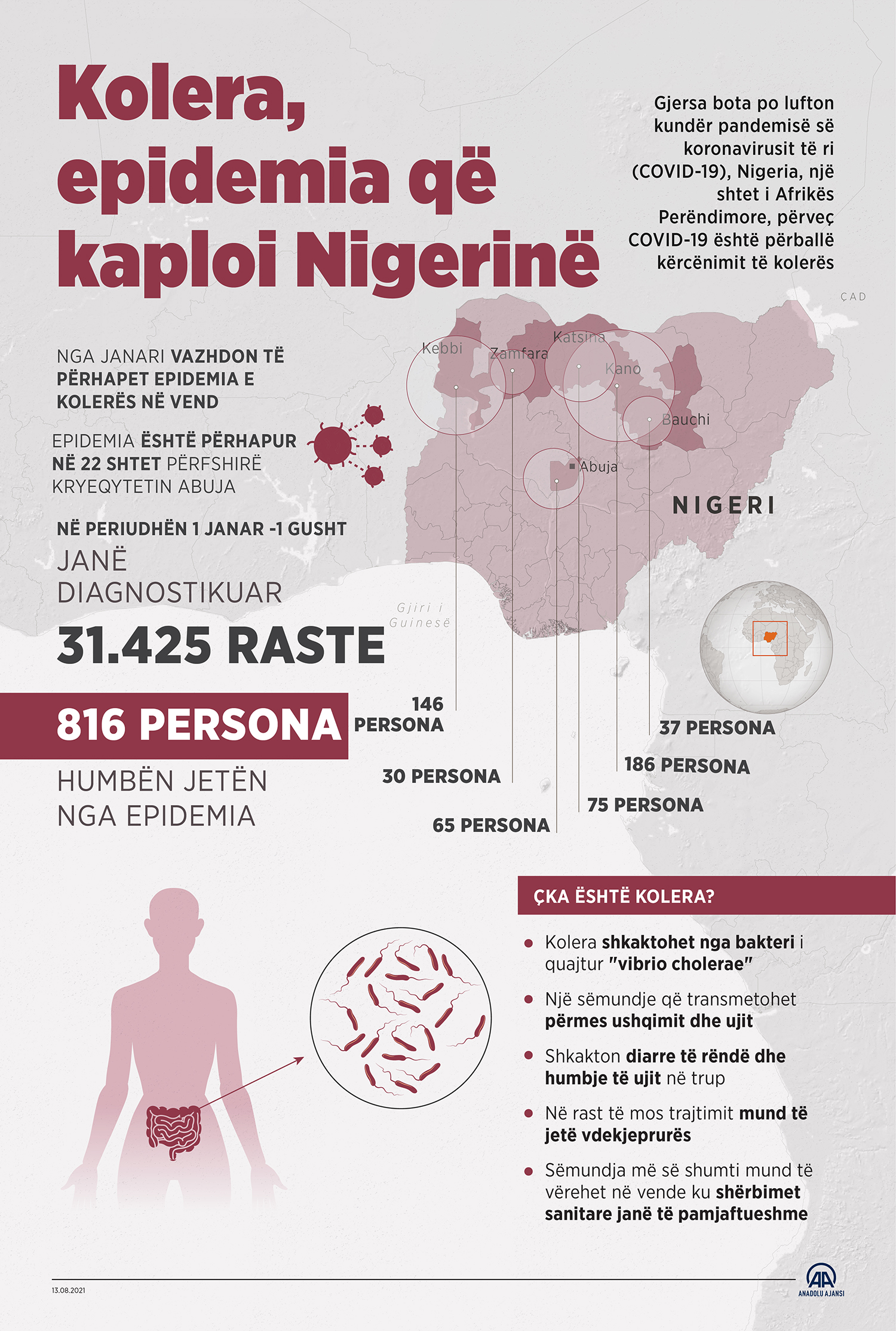 Kolera, epidemia që kaploi Nigerinë