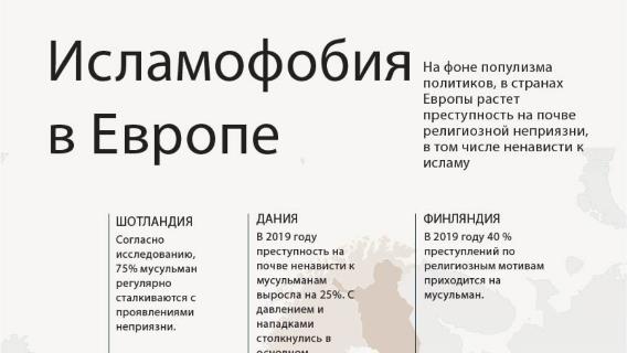 инфографика