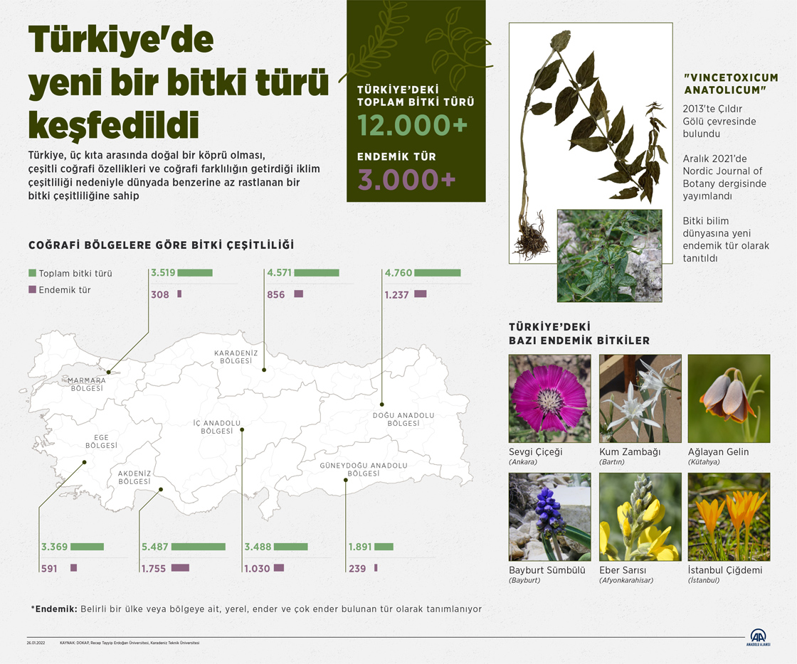 Türkiye'de yeni bir bitki türü keşfedildi