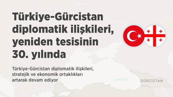 Türkiye-Gürcistan diplomatik ilişkileri yeniden tesisinin 30. yılında 