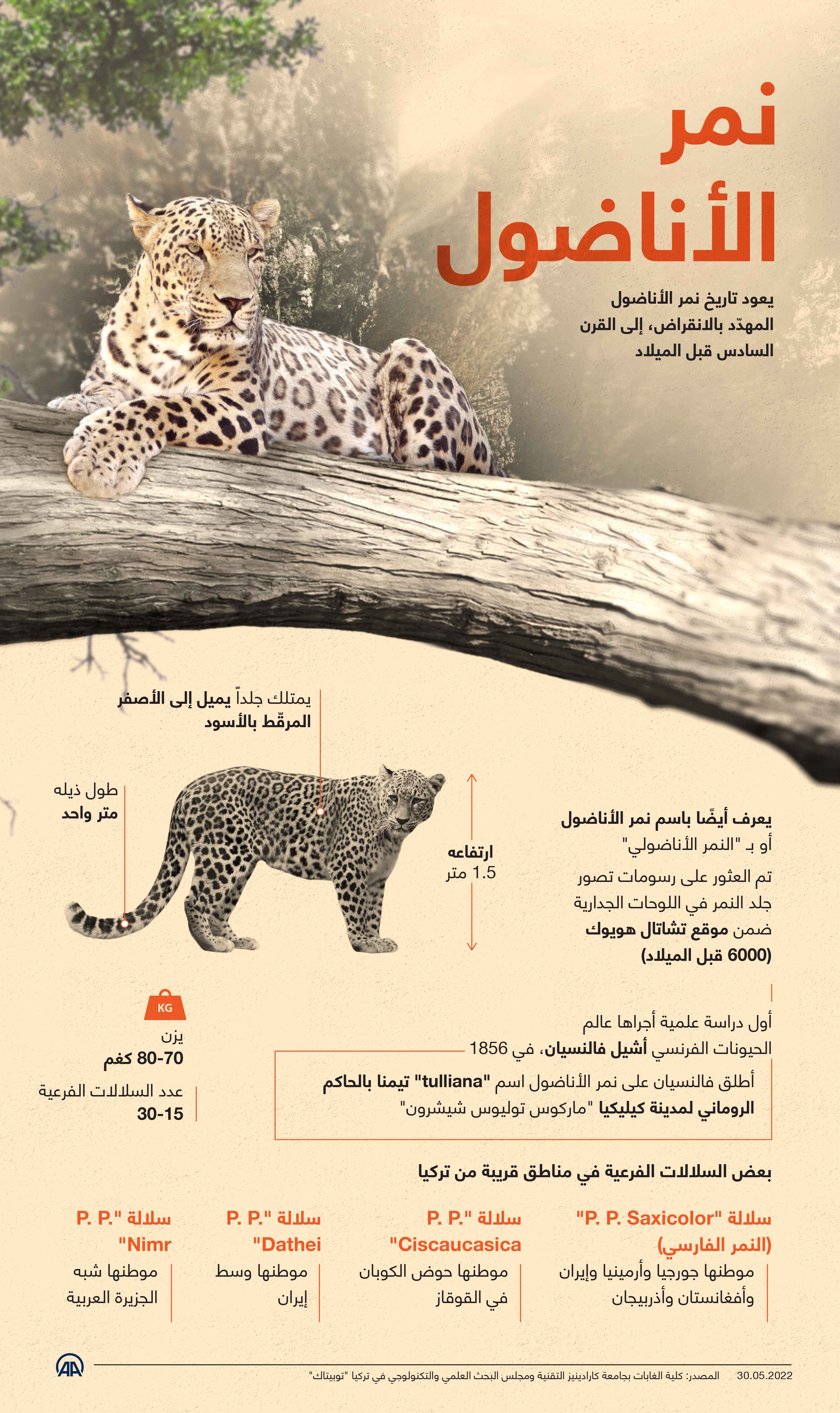 نمر الأناضول