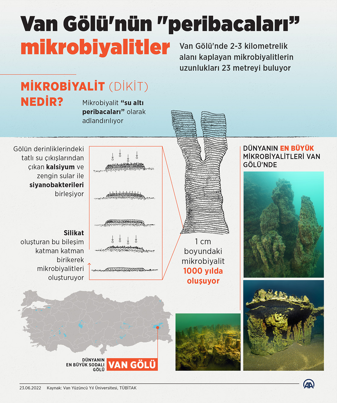 Van Gölü'nün "peribacaları” mikrobiyalitler