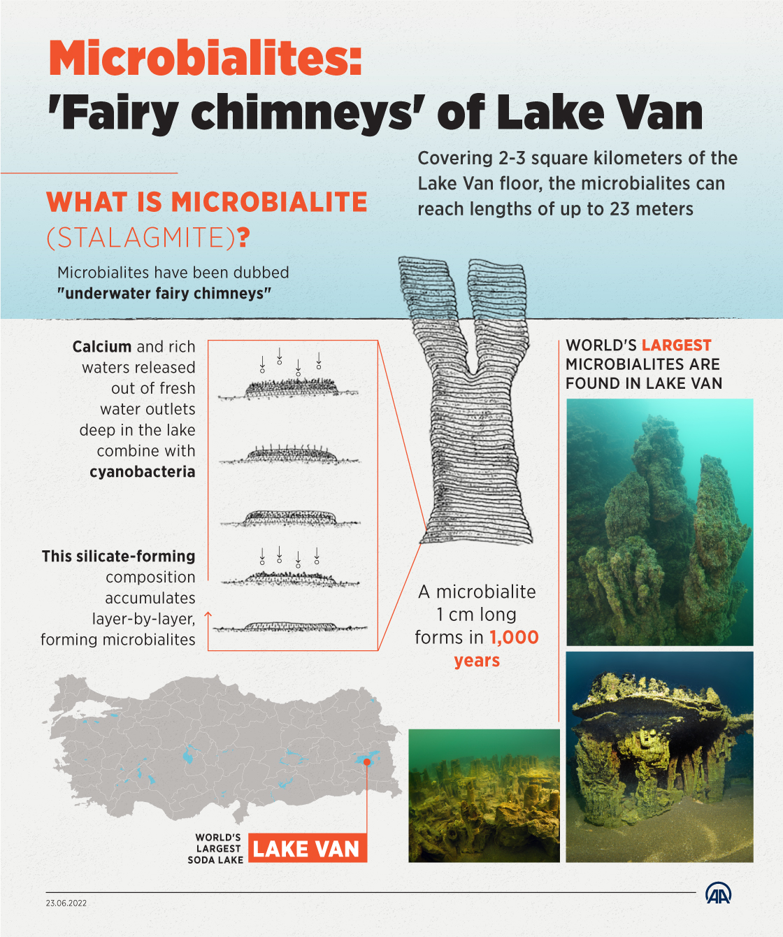 Microbialites: 'Fairy chimneys' of Lake Van