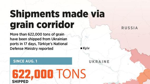 Over 622,000 tons of shipments carried out via Ukraine grain corridor since Aug. 1
