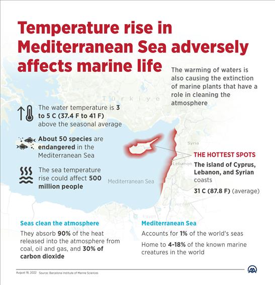 Temperature rise in Mediterranean Sea adversely affects marine life