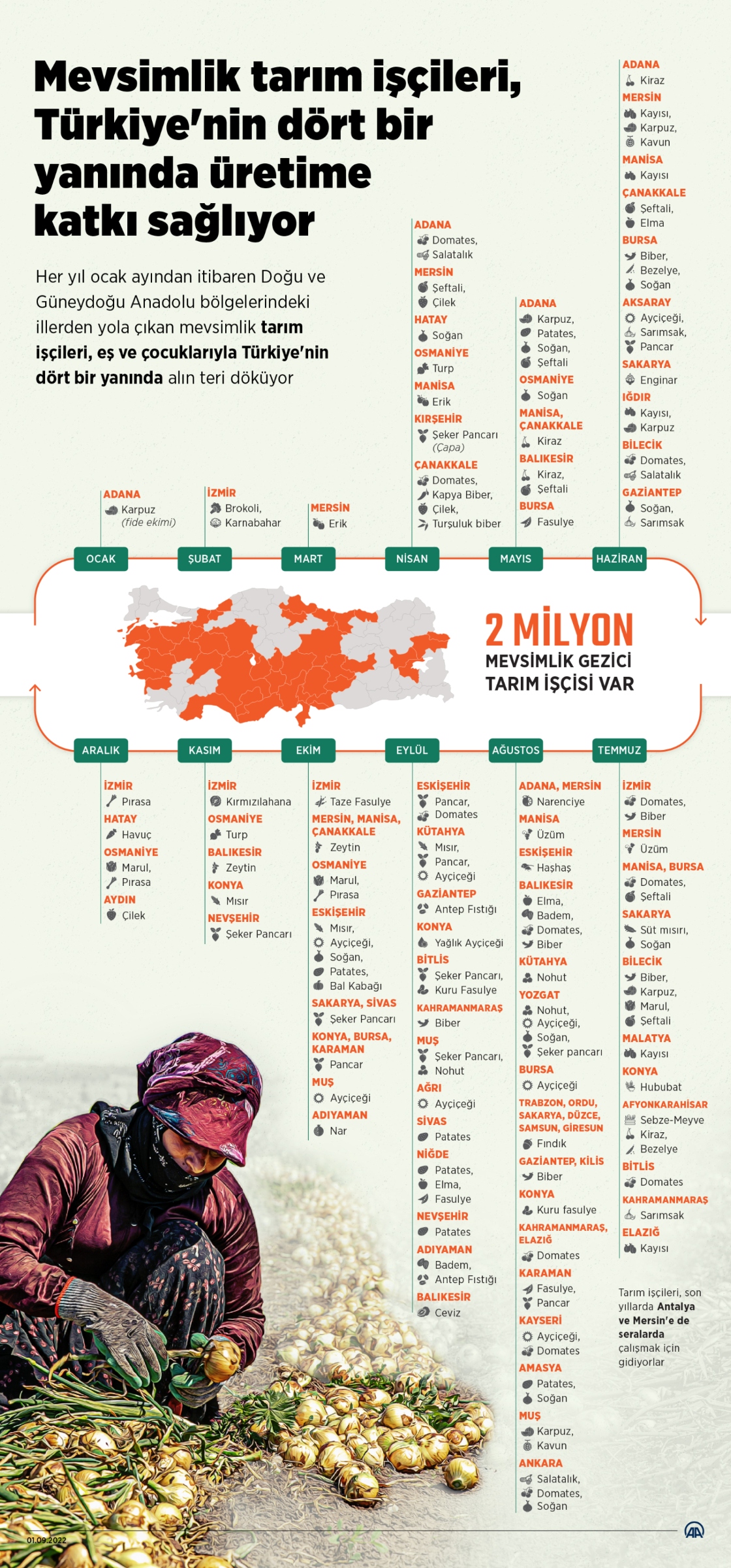 Mevsimlik tarım işçileri “ekmek parası için” Türkiye'yi dolaşıyor