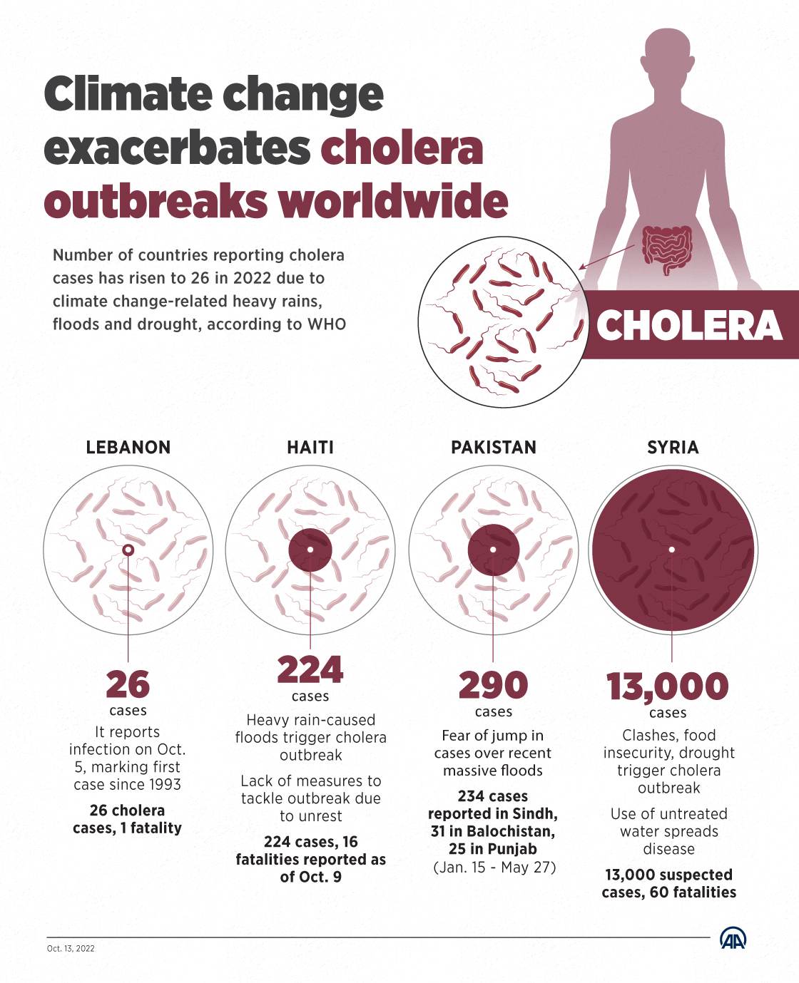 Climate change exacerbates cholera outbreaks worldwide