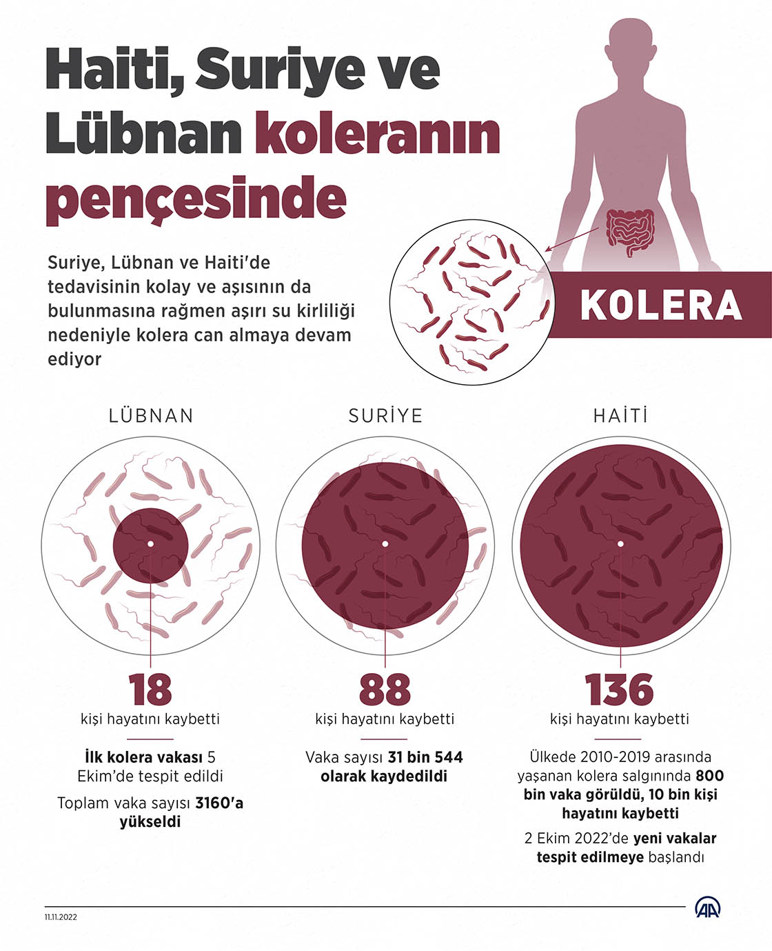 Haiti, Suriye ve Lübnan koleranın pençesinde