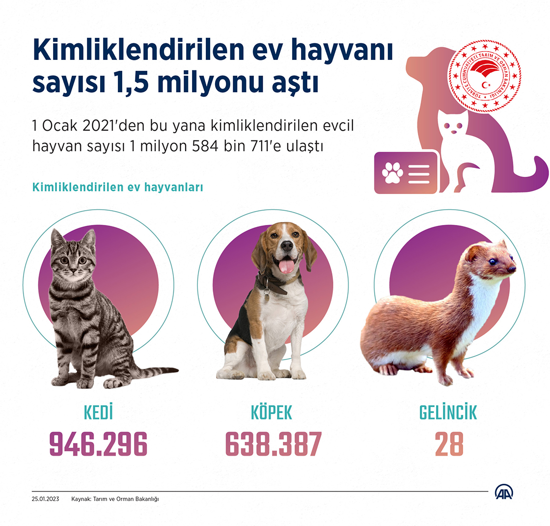 Kimliklendirilen ev hayvanı sayısı 1 milyon 584 bini aştı