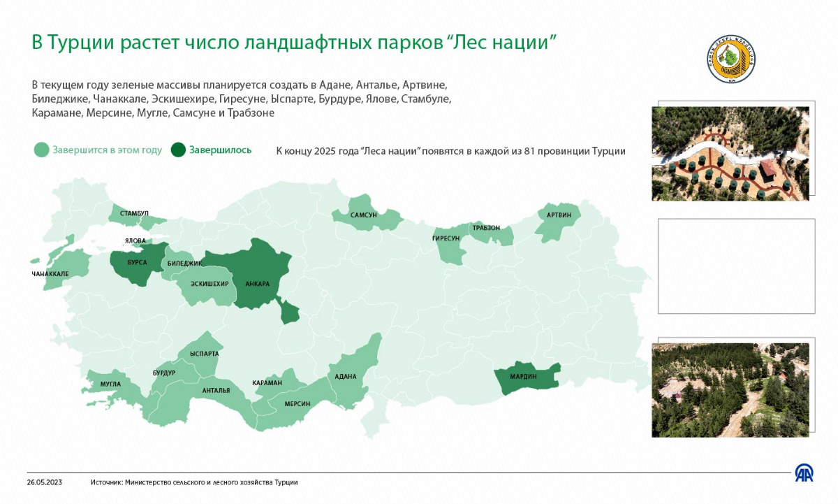 Лесное хозяйство Турции. Лесная нация Вики.