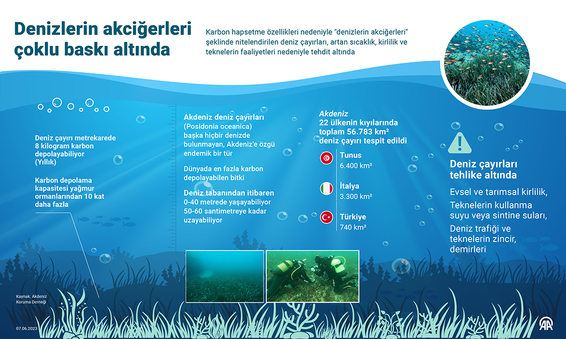Denizlerin akciğerleri çoklu baskı altında