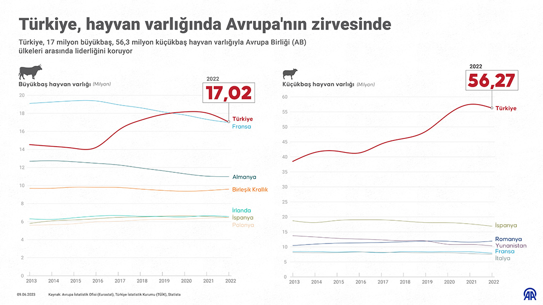 Avrupa'nın hayvan varlığında bir numarası yıllardır Türkiye