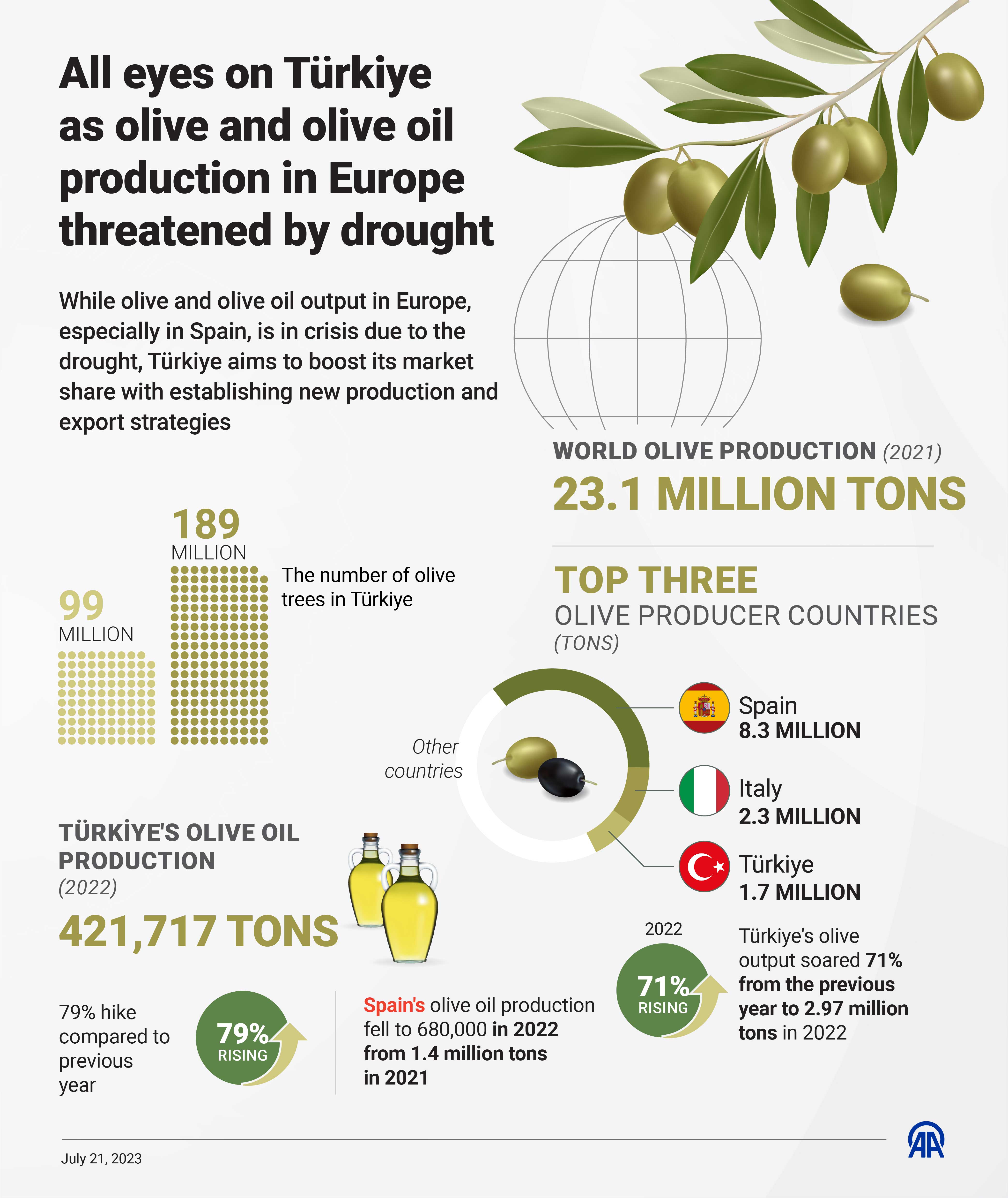 All eyes on Türkiye as olive and olive oil production in Europe threatened by drought