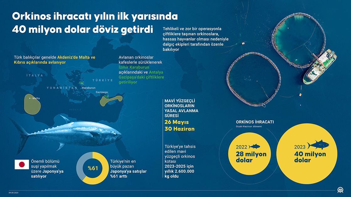 Orkinos ihracatı yılın ilk yarısında 40 milyon dolar döviz getirdi