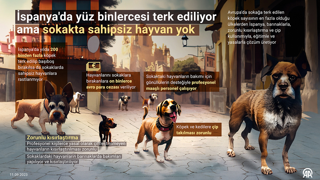 İspanya'da yüz binlercesi terk ediliyor ama sokakta sahipsiz hayvan yok