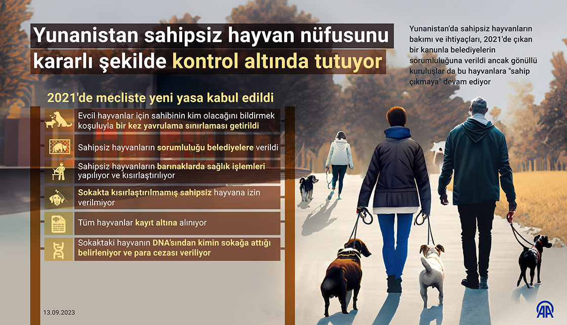 Yunanistan sahipsiz hayvan sayısının artmasının önüne kısırlaştırmayla geçiyor