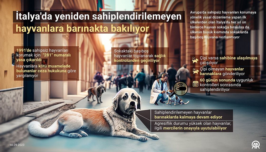 İtalya'da yeniden sahiplendirilemeyen hayvanlara barınakta bakılıyor
