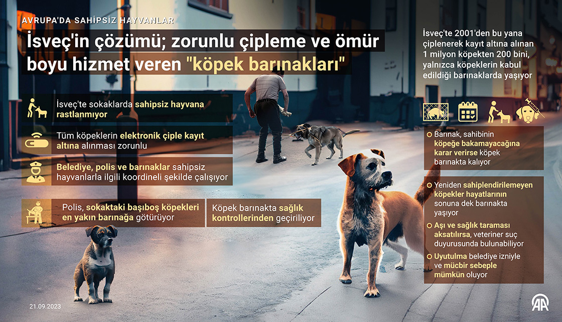 İsveç'in çözümü; zorunlu çipleme ve ömür boyu hizmet veren 'köpek barınakları'