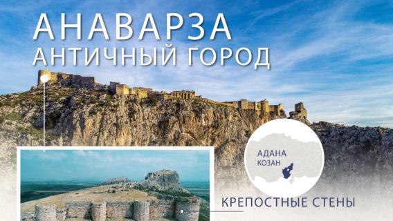 инфографика