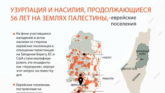 инфографика