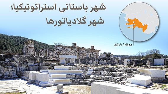 اینفوگرافیک