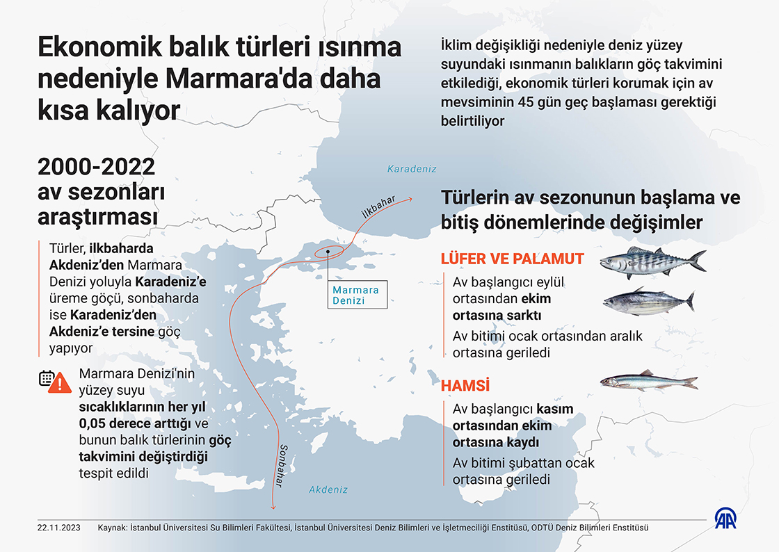 Ekonomik balık türleri ısınma nedeniyle Marmara'da daha kısa kalıyor