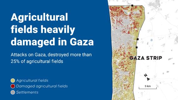 Agricultural fields heavily damaged in Gaza