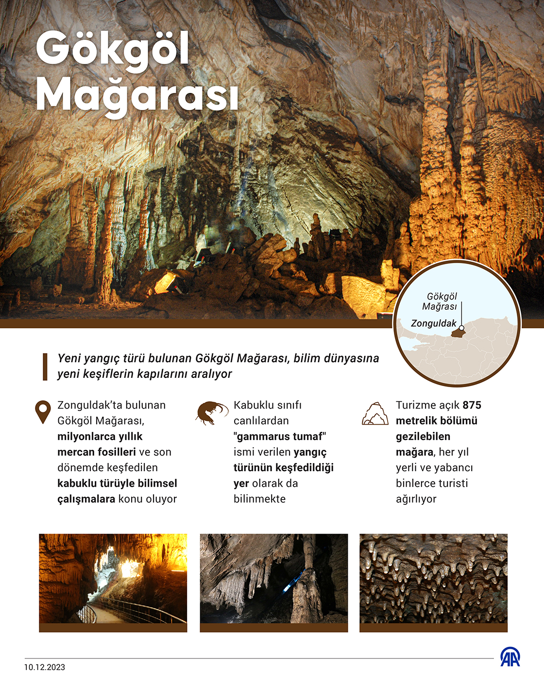 Gökgöl Mağarası, bilim dünyasına yeni keşiflerin kapılarını aralıyor