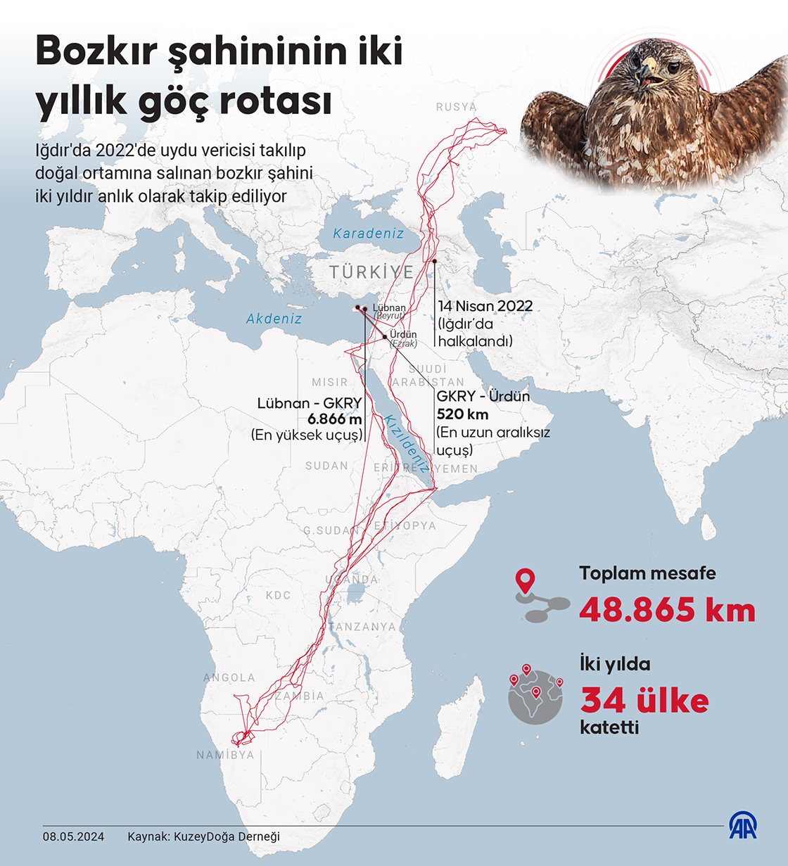 Bozkır şahininin iki yıllık göç rotası