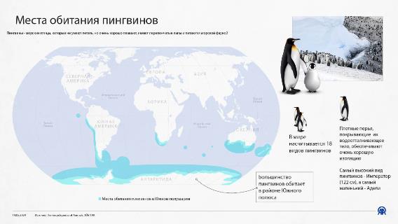 Места обитания пингвинов