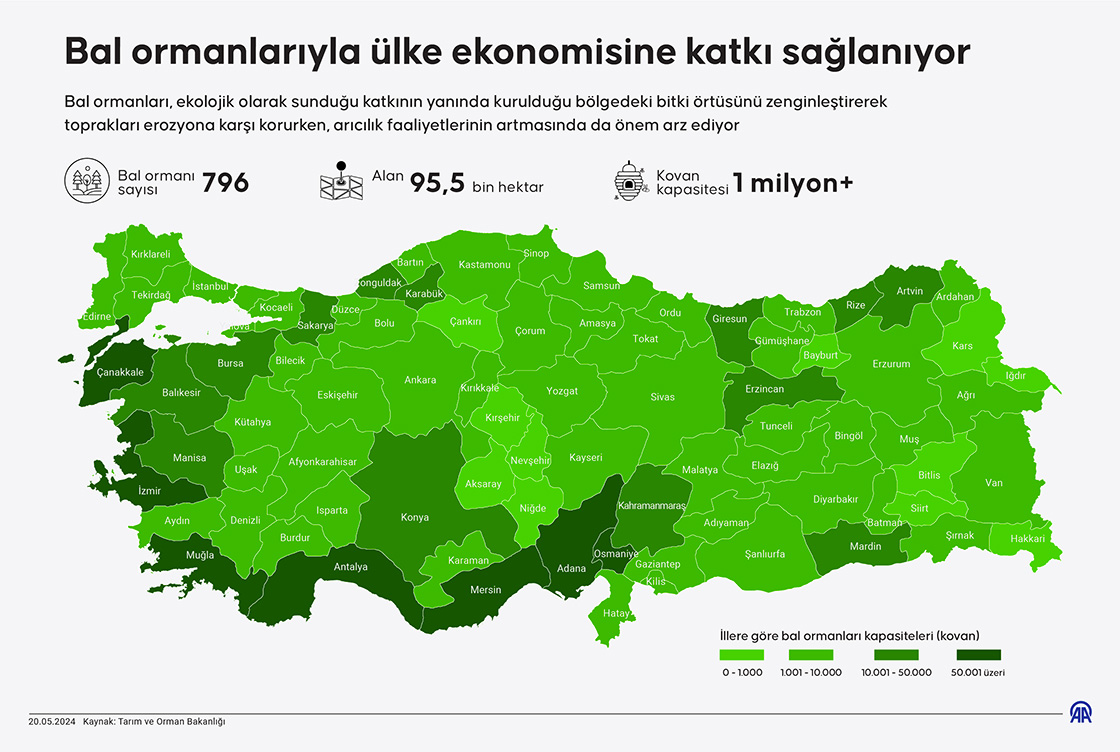 Bal ormanlarıyla ülke ekonomisine katkı sağlanıyor