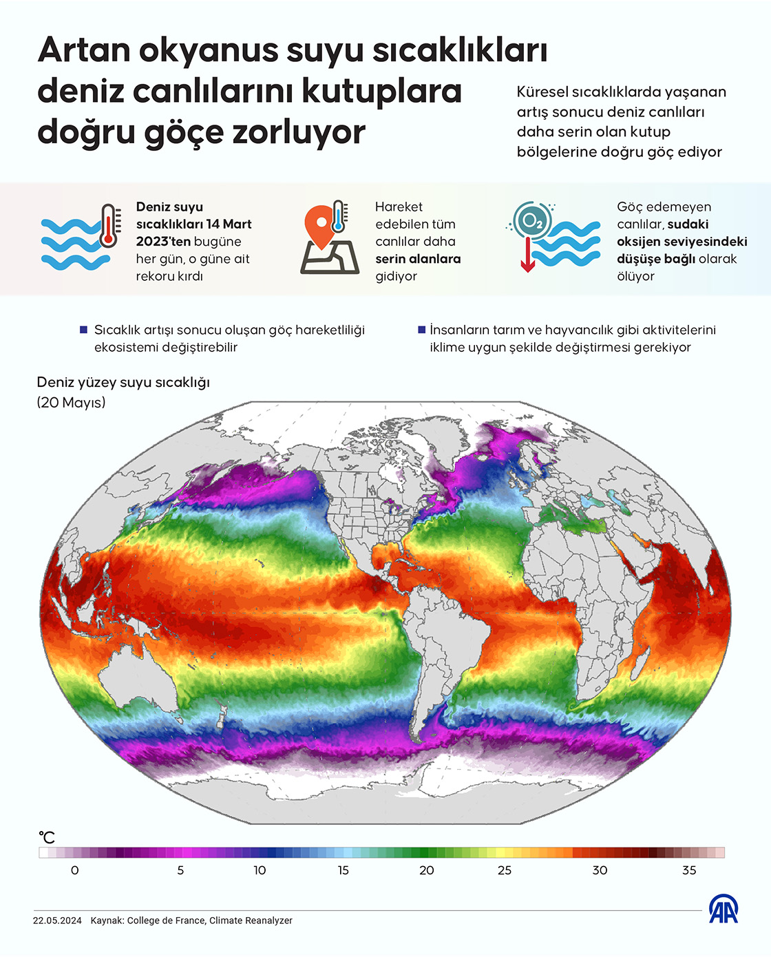 Artan okyanus suyu sıcaklıkları deniz canlılarını kutuplara doğru göçe zorluyor